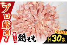 【旨味凝縮！満足セット】九州産 焼き鳥セット 鶏もも 30本 / やきとり ヤキトリ 焼鳥 串セット 国産 冷凍 小分け / 南島原市 / ふるさと企画 [SBA077]