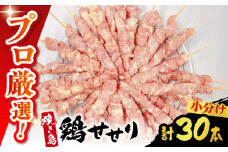 【旨味凝縮！満足セット】九州産 焼き鳥セット 鶏せせり 30本 / やきとり ヤキトリ 焼鳥 串セット 国産 冷凍 小分け / 南島原市 / ふるさと企画 [SBA078]