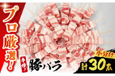 【旨味凝縮！満足セット】国産 焼き鳥セット 豚バラ 30本 / やきとり ヤキトリ 焼鳥 串セット 国産 冷凍 小分け / 南島原市 / ふるさと企画 [SBA079]