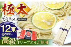 原城 極太そうめん 露草四朗 900g（75g×12束） / そうめん 島原そうめん 手延べ 麺 素麺 / 南島原市 / 銀之霊泉 [SFW002]