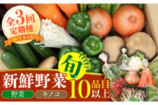 【毎月コース】野菜 キノコ 10品目以上 詰め合わせ 3回定期便 / 野菜定期便 やさい定期便 きのこ セット 定期便 / 南島原市 / 吉岡青果 [SCZ022]