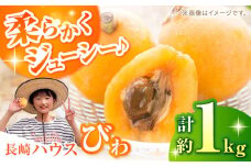 【2025年3月下旬〜発送】【数量限定】長崎ハウス びわ 約1kg（約260g × 4p） / びわ 産地直送 農家直送 フルーツ 果物 びわ ビワ 旬 枇杷 / 南島原市 / O' Berry! [SGA002]