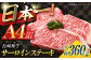 サーロイン ステーキ 長崎和牛