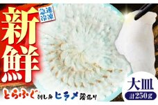 【新鮮！贅沢おつまみ】トラフグ の 刺し身 ＆ ヒラメ の 薄造り 大皿×各1枚 計250g  / ひらめ ヒラメ とらふぐ刺身 紅葉おろし トラフグ ふぐ フグ 河豚 刺し身 / 南島原市 / 株式会社 FUKUNOTANE [SFJ027]
