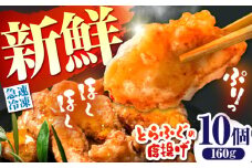【骨なし！】トラフグ の 唐揚げ 10個入り 計160g  / 唐揚げ フグ ふぐ 河豚 フライ わさび セット おつまみ / 南島原市 / 株式会社 FUKUNOTANE [SFJ028]