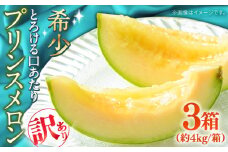 【2026年4月下旬～発送】【根強い人気!】 訳あり プリンスメロン 3箱セット（1箱 7～13玉）傷もの / メロン めろん フルーツ 果物 / 南島原市 / 南島原果物屋 [SCV023]