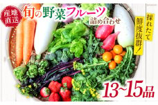 新鮮 「旬の野菜・フルーツ」 詰め合わせ セット（13品〜15品）/ 野菜 やさい 野菜セット やさいセット 春野菜 夏野菜 秋野菜 冬野菜 旬新鮮 / 南島原市 /長崎県農産品流通合同会社 [SCB090]
