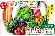 【6回定期便】毎月連続　「旬の野菜・フルーツ」 詰め合わせ セット（13品〜15品）/ 野菜 定期便 やさい 定期便 野菜セット やさいセット 春野菜 夏野菜 秋野菜 冬野菜 旬新鮮 / 南島原市 /長崎県農産品流通合同会社 [SCB091]