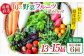  野菜 定期便 やさい 定期便 野菜セット やさいセット 春野菜 夏野菜 秋野菜 冬野菜 旬新鮮