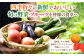  野菜 定期便 やさい 定期便 野菜セット やさいセット 春野菜 夏野菜 秋野菜 冬野菜 旬新鮮