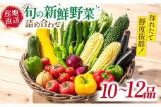 旬の新鮮 野菜詰め合わせセット（10品～12品）/ 野菜 やさい 野菜セット やさいセット 春野菜 夏野菜 秋野菜 冬野菜 旬新鮮 / 南島原市 /長崎県農産品流通合同会社[SCB094]