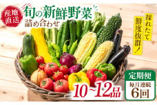 【6回定期便】毎月連続 旬の新鮮 野菜詰め合わせセット（10品～12品）/ 野菜 定期便 やさい 定期便 野菜セット やさいセット 春野菜 夏野菜 秋野菜 冬野菜 旬新鮮 / 南島原市 /長崎県農産品流通合同会社[SCB095]