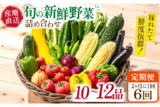 【6回定期便】2ヵ月に1回 旬の新鮮 野菜詰め合わせセット（10品～12品）/ 野菜 定期便 やさい 定期便 野菜セット やさいセット 春野菜 夏野菜 秋野菜 冬野菜 旬新鮮 / 南島原市 /長崎県農産品流通合同会社[SCB096]