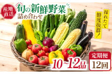 【 野菜 定期便 】【12回定期便】毎月連続お届け 旬の新鮮 野菜詰め合わせセット（10品～12品） / 南島原市 /長崎県農産品流通合同会社[SCB097] 野菜 野菜 定期便 野菜セット 野菜定期便 12か月 野菜セット 定期 定期便 詰め合わせセット 定期
