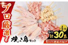 【6回定期便】九州産 鶏三昧 焼き鳥セット 4種類 30本 / やきとり ヤキトリ 焼鳥 串セット 国産 冷凍 小分け / 南島原市 / ふるさと企画 [SBA082]