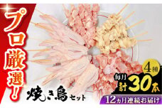 【12回定期便】九州産 鶏三昧 焼き鳥セット 4種類 30本 / やきとり ヤキトリ 焼鳥 串セット 国産 冷凍 小分け / 南島原市 / ふるさと企画 [SBA083]