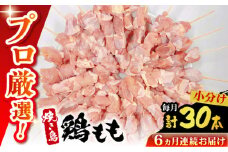 【6回定期便】九州産 焼き鳥セット 鶏もも 30本 / やきとり ヤキトリ 焼鳥 串セット 国産 冷凍 小分け / 南島原市 / ふるさと企画 [SBA085]
