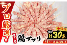 【6回定期便】九州産 焼き鳥セット 鶏せせり 30本 / やきとり ヤキトリ 焼鳥 串セット 国産 冷凍 小分け / 南島原市 / ふるさと企画 [SBA088]