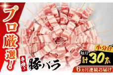 【6回定期便】国産 焼き鳥セット 豚バラ 30本 / やきとり ヤキトリ 焼鳥 串セット 国産 冷凍 小分け / 南島原市 / ふるさと企画 [SBA091]