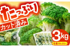 たっぷり 冷凍 ブロッコリー 3kg（1kg × 3袋） / ブロッコリー ぶろっこりー 野菜 やさい 小分け 冷凍 / 南島原市 / 池田海陸物産 [SEW007]