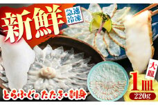 【新鮮！贅沢おつまみ】トラフグのたたき ＆ ふぐ 刺身（大皿/220g）×1枚 / ポン酢 もみじおろし セット 冷凍 ふぐ 河豚 藁焼き / 南島原市 / 株式会社 FUKUNOTANE [SFJ030]