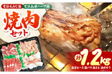 雲仙もみじ豚・雲仙島原ハーブ鶏　焼肉 Wセット 1.2kg / 焼き肉 やきにく 豚肉 鶏肉 / 南島原市 / はなぶさ [SCN167]