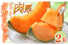 【2026年5月〜発送】タカミメロン レッド 2玉 / メロン めろん フルーツ 果物 / 南島原市 / 南島原果物屋 [SCV030]