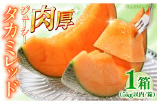 【2026年5月〜発送】タカミメロン レッド 1箱 5kg以内（3～6玉） / メロン めろん フルーツ 果物 / 南島原市 / 南島原果物屋 [SCV031]