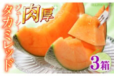 【2026年5月〜発送】タカミメロン レッド 3箱（1箱 3～6玉） / メロン めろん フルーツ 果物 / 南島原市 / 南島原果物屋 [SCV033]