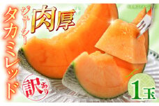 【2026年5月〜発送】訳あり タカミメロン レッド 1玉 / メロン めろん フルーツ 果物 / 南島原市 / 南島原果物屋 [SCV034]