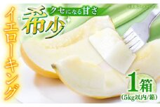 【2026年5月〜発送】メロン イエローキング 1箱 5kg以内（3～6玉） / メロン めろん フルーツ 果物 / 南島原市 / 南島原果物屋 [SCV039]