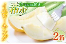 【2026年5月〜発送】メロン イエローキング 2箱（1箱 3～6玉） / メロン めろん フルーツ 果物 / 南島原市 / 南島原果物屋 [SCV040]