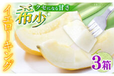 【2026年5月〜発送】メロン イエローキング 3箱（1箱 3～6玉） / メロン めろん フルーツ 果物 / 南島原市 / 南島原果物屋 [SCV041]