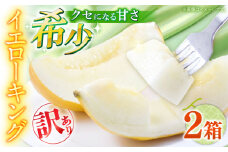 【2026年5月〜発送】訳あり メロン イエローキング 2箱（1箱 3～6玉） / メロン めろん フルーツ 果物 / 南島原市 / 南島原果物屋 [SCV043]