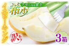 【2026年5月〜発送】訳あり メロン イエローキング 3箱（1箱 3～6玉） / メロン めろん フルーツ 果物 / 南島原市 / 南島原果物屋 [SCV044]