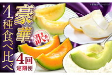 【2026年4月下旬〜発送】【4回定期便】訳あり メロン 4種 食べ比べ / プリンスメロン イエローキング タカミレッド タカミメロン / メロン めろん フルーツ 果物 / 南島原市 / 南島原果物屋 [SCV046]