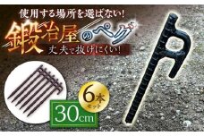 鍛造ペグ 30cm 6本セット / キャンプ キャンプ用品 ペグ キャンプ場 アウトドア用品 / 南島原市 / 重光刃物鍛造工場 [SEJ019]