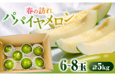 【2026年3月中旬～発送】パパイヤメロン 6〜8玉 約5kg / メロン めろん 果物 フルーツ / 南島原市 / うえだメロン園 [SAD008]