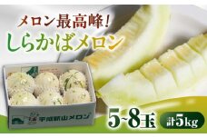 【2026年3月下旬～発送】しらかばメロン 5玉〜8玉 約5kg / メロン めろん 果物 フルーツ / 南島原市 / うえだメロン園 [SAD009]
