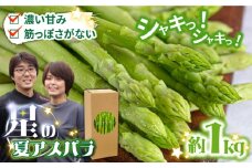 【2025年9月～発送】【数量限定】甘い！柔らかい！【星のアスパラ】厳選 グリーン アスパラガス 1kg / アスパラ あすぱら 厳選 あすぱらがす 採れたて 新鮮 旬 産地直送 野菜 2L・L・M サイズミックス / 南島原市 / ほしのYA [SEY001]