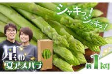 【2025年9月～発送】【数量限定】甘い！柔らかい！【星のアスパラ】厳選 グリーン アスパラガス 1kg / アスパラ あすぱら 厳選 あすぱらがす 採れたて 新鮮 旬 産地直送 野菜 L・M・Sサイズのミックス / 南島原市 / ほしのYA [SEY001]