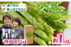 【2026年3月～発送】【数量限定】甘い！柔らかい！【星のアスパラ】厳選 グリーン アスパラガス 1kg / アスパラ あすぱら 厳選 あすぱらがす 採れたて 新鮮 旬 産地直送 野菜 3L・2L・L・Mサイズ  ミックス / 南島原市 / ほしのYA [SEY001]