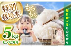 【特別栽培米】 ヒノヒカリ 5kg / 米 精米 白米 ごはん ご飯 ひのひかり / 南島原市 / 農家民宿　いちご一会 [SBN001]