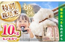 【特別栽培米】 ヒノヒカリ 10kg (5kg×2袋) / 米 精米 白米 ごはん ご飯 ひのひかり / 南島原市 / 農家民宿　いちご一会 [SBN002]
