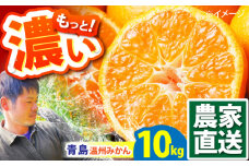 【2026年1月～発送】青島 温州みかん 10kg / みかん ミカン 蜜柑 甘い フルーツ 果物 / 南島原市 / 蜜柑屋まつお [SCQ003]