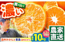 【2025年10月下旬～発送】【2回定期便】温州みかん 食べ比べ 10kg×2回 / みかん 青島みかん ミカン 蜜柑 甘い フルーツ 果物 / 南島原市 / 蜜柑屋まつお [SCQ004]