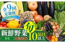 【春秋冬限定コース】野菜 キノコ 10品目以上 詰め合わせ 9回定期便 / 野菜定期便 やさい定期便 野菜セット きのこ セット 野菜詰め合わせ / 南島原市 / 吉岡青果 [SCZ026]