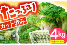 たっぷり 冷凍 ブロッコリー 4kg（1kg × 4袋） / ブロッコリー ぶろっこりー 野菜 やさい 小分け 冷凍 / 南島原市 / 池田海陸物産 [SEW008]