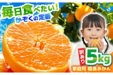 【2025年12月中旬～発送】【訳あり】家庭用 南高みかん 5kg / みかん ミカン 蜜柑 果物 フルーツ / 南島原市 / 南高果樹農業協同組合 [SGI001]