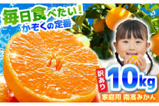 【2025年12月中旬～発送】【訳あり】家庭用 南高みかん 10kg / みかん ミカン 蜜柑 果物 フルーツ / 南島原市 / 南高果樹農業協同組合 [SGI002]